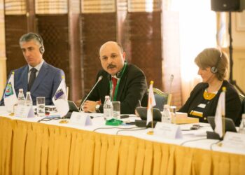 UAESEB Genel Başkanı Geylan, “UAESEB, Türk Dünyası İdealinin Vücut Bulmuş Halidir.”